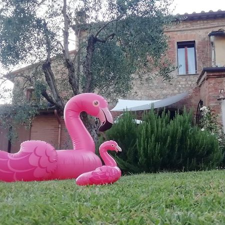 Апартаменты Agli Olivi Di Marciano Сиена Экстерьер фото